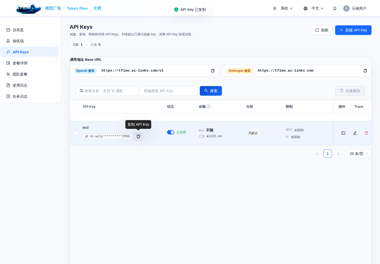 查看并复制脱敏 API Key